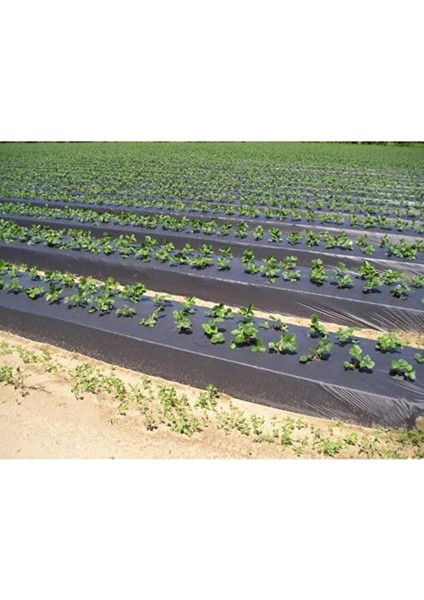 Malç Çilek Naylonu – Sera Taban Örtüsü Siyah Dayanıklı Bahçe Bitki Koruma Brandası - 1,3 M x 500 M modelleri