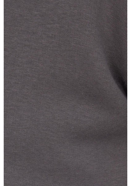 Unisex Relax Fit Rahat Kesim Pamuklu Içi Polarlı Fermuarlı Gri Dik Yaka Flato Cepli Sweatshirt Hırka