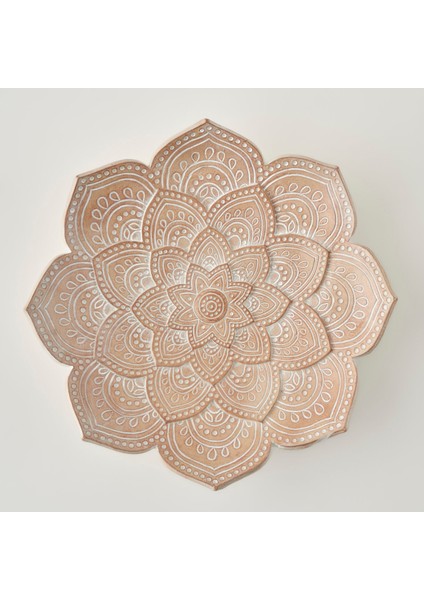 Clove Dekoratif Tabak Kahverengi (20X20X5 Cm) fırsatları