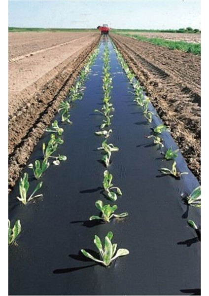 Malç Çilek Naylonu – Sera Taban Örtüsü Siyah Dayanıklı Bahçe Bitki Koruma Brandası - 1,2 M x 500 M