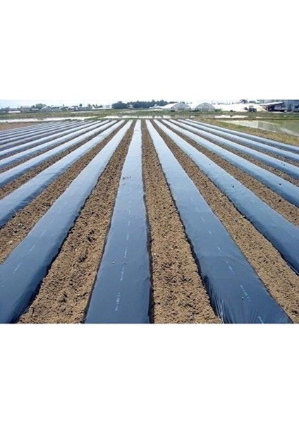 Malç Çilek Naylonu – Sera Taban Örtüsü Siyah Dayanıklı Bahçe Bitki Koruma Brandası - 1,2 M x 500 M indirimleri