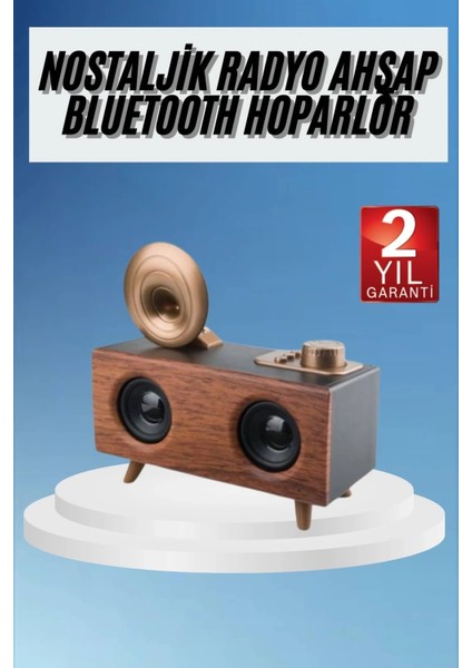 Gramafon Radyo Bluetooth Hoparlör Nostaljik Radyo Fm Radyo