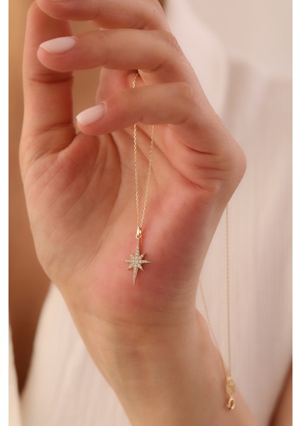 14 Ayar Altın Taşlı Kuzey Yıldızı Kolye fiyatları