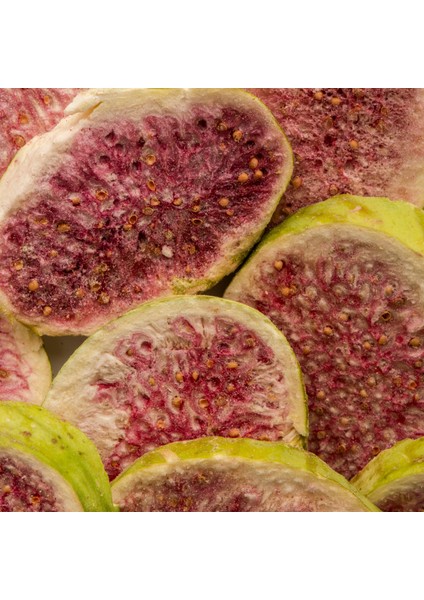 İncir Kuru Meyve Cipsi 3'lü Paket - Dondurularak Kurutulmuş İncir - Freeze Dried İncir Kurusu modelleri