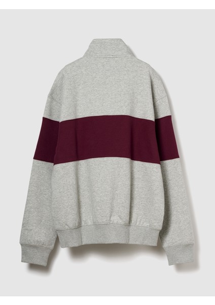 Erkek Açık Gri Vintagesoft Colorblock Gap Logo Yarım Fermuarlı Sweatshirt fiyatları