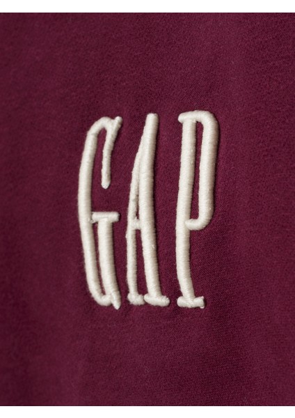 Erkek Açık Gri Vintagesoft Colorblock Gap Logo Yarım Fermuarlı Sweatshirt modelleri