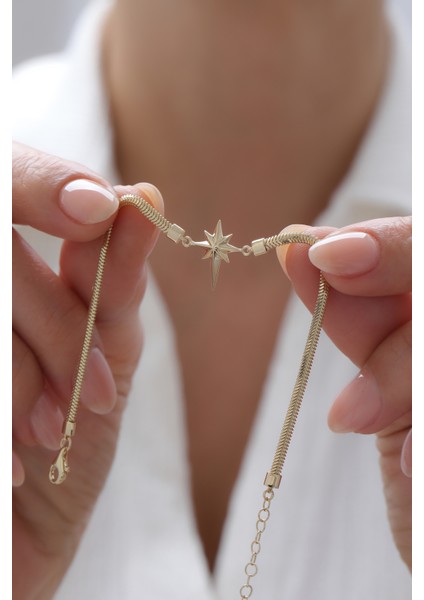 14 Ayar Altın Balık Sırtı Kuzey Yıldızı Kolye fiyatları