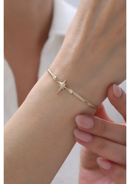 14 Ayar Altın Balık Sırtı Kuzey Yıldızı Kolye modelleri