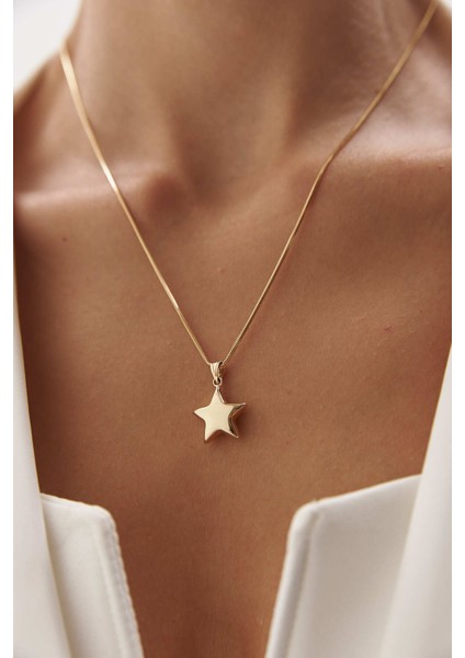 14 Ayar Altın Yuvarlak Balık Sırtı Yıldız Kolye