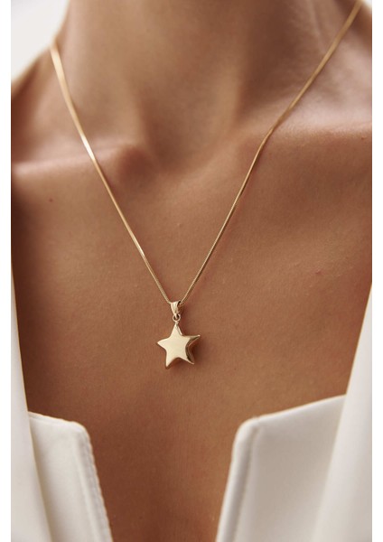 14 Ayar Altın Yuvarlak Balık Sırtı Yıldız Kolye fiyatları