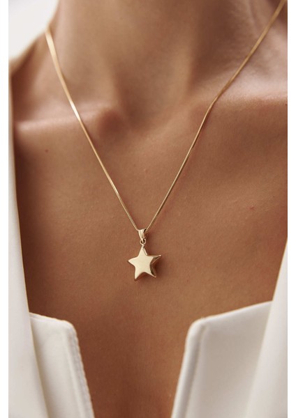 14 Ayar Altın Yuvarlak Balık Sırtı Yıldız Kolye modelleri