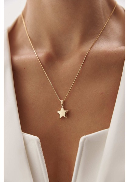 14 Ayar Altın Yuvarlak Balık Sırtı Yıldız Kolye fırsatları