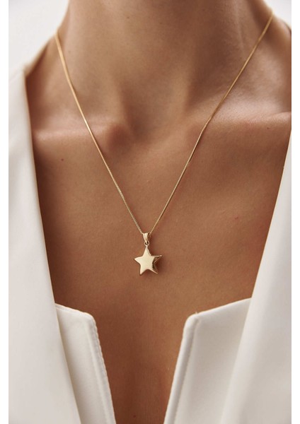 14 Ayar Altın Yuvarlak Balık Sırtı Yıldız Kolye indirimleri