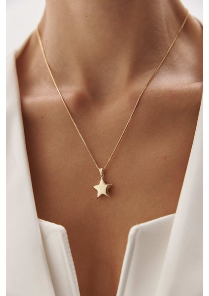 14 Ayar Altın Yuvarlak Balık Sırtı Yıldız Kolye