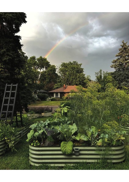 Yükseltilmiş Bahçe Yatağı Seti Metal 195X60X43CM Modüler Sebze Yatağı (6 Farklı Kurulum Olanağına Sahip)