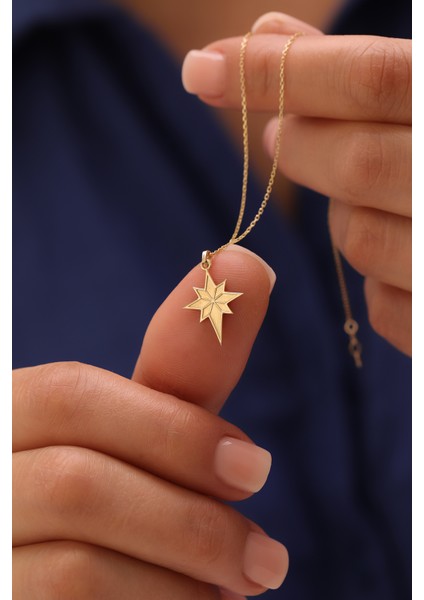 14 Ayar Altın Kuzey Yıldızı Plaka Kolye fiyatları