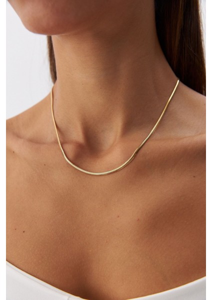 14 Ayar Altın Balık Sırtı Zincir Kolye fiyatları