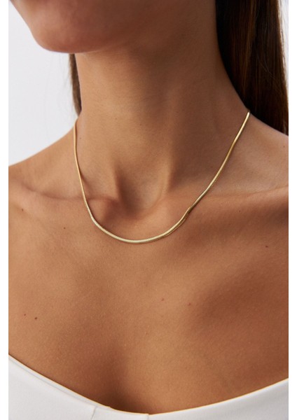 14 Ayar Altın Balık Sırtı Zincir Kolye fırsatları