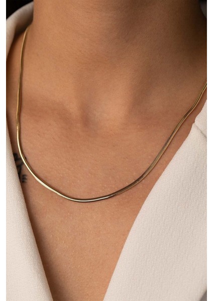 14 Ayar Altın Balık Sırtı Zincir Kolye