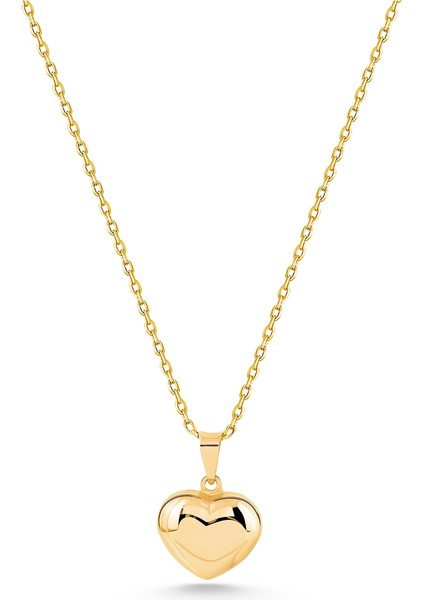 14 Ayar Altın Forse Zincir Kalp Kolye fiyatları