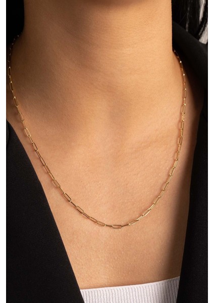 14 Ayar Altın Ataş Zincir fiyatları