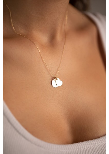 14 Ayar Altın Forse Zincir Kalp Plaka Kolye fiyatları