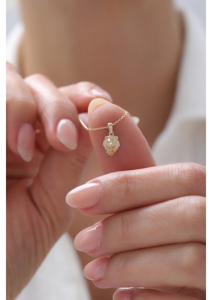 14 Ayar Altın Aslan Kolye fiyatları