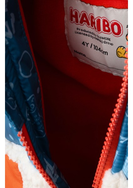 Erkek Çocuk Mont Mavi M201 modelleri