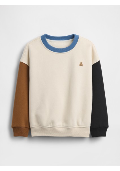 Erkek Bebek Krem Brannan Bear Detaylı Vintagesoft Colorblock Sweatshirt