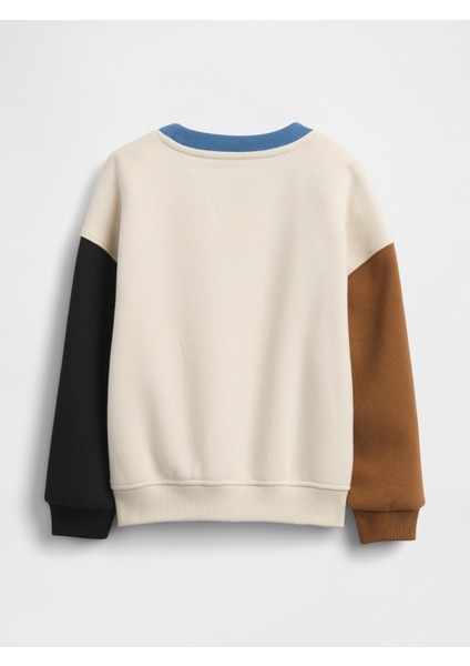 Erkek Bebek Krem Brannan Bear Detaylı Vintagesoft Colorblock Sweatshirt modelleri