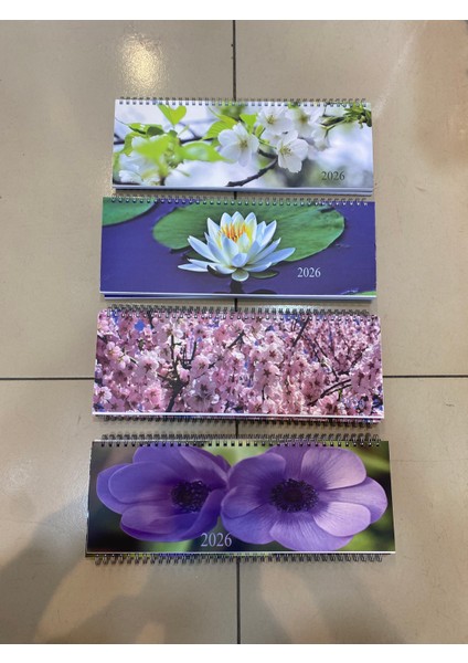 Masa Takvimi modelleri