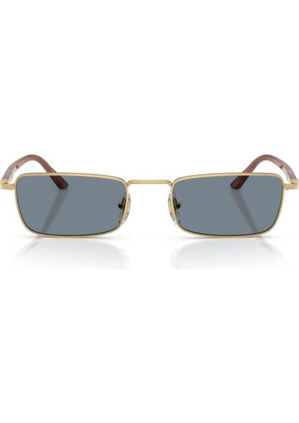 Po 1025S 113256 54 Güneş Gözlüğü fırsatları