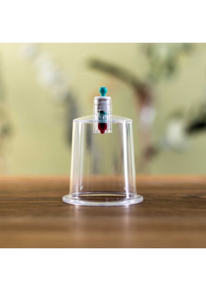 4 cm Hacamat Kupası 10 Adet