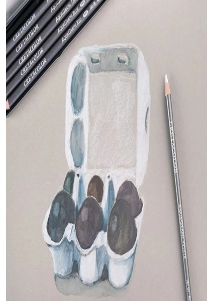 Van Dyck 200 gr Cretacolor 6'lı Aquarell-Dereceli Cepli Siyah Kalemlik 24 Bölmeli + Kalem Kutusu Set fiyatları