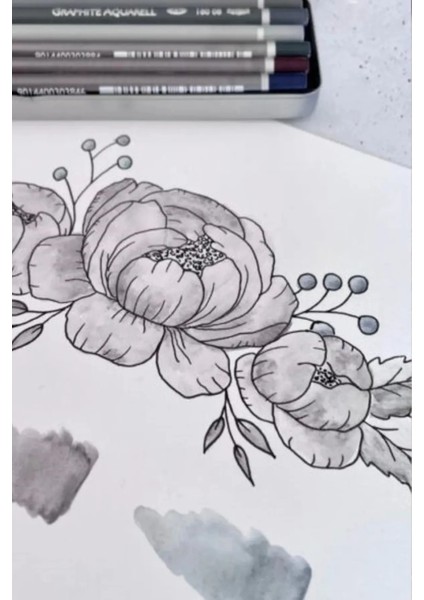 Van Dyck 200 gr Cretacolor 6'lı Aquarell-Dereceli Cepli Siyah Kalemlik 24 Bölmeli + Kalem Kutusu Set fırsatları