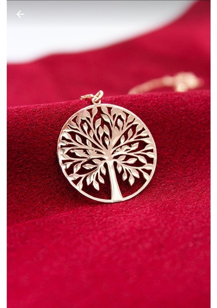 Hayat Ağacı Kolye Gümüş Kişiye Özel