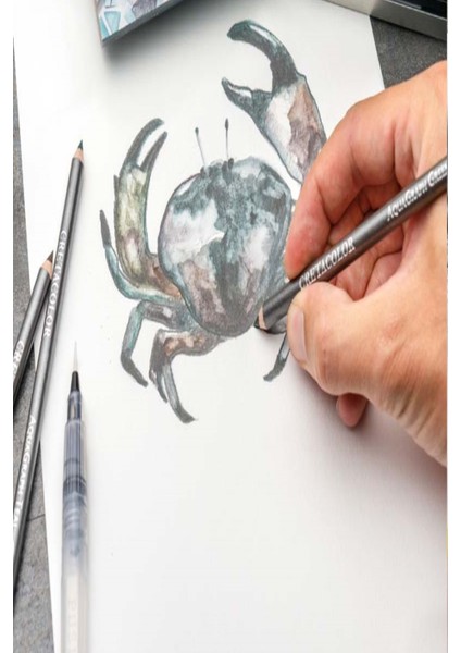 Alex Schoeller A5 300 gr Cretacolor 6'lı Aquarell Sulandırılabilir Dereceli Rulo Kalemlik Eskiz Seti