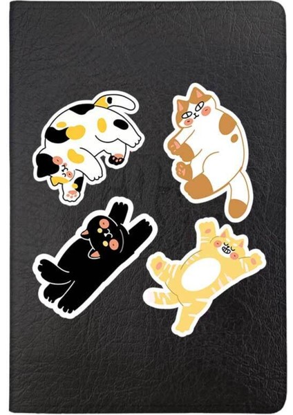 Kedi Sticker Desenli Deri Pet Evcil Hayvan Kedi Köpek Pasaport Sağlık Karnesi Kabı Kılıfı