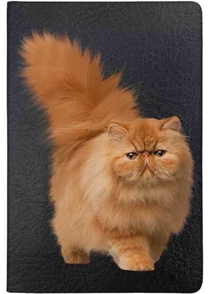 Iran Kedisi Desenli Deri Pet Evcil Hayvan Kedi Köpek Pasaport Sağlık Karnesi Kabı Kılıfı