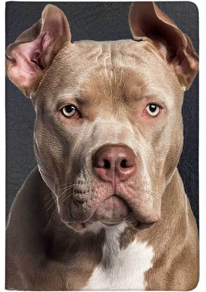 Bully Desenli Deri Baskılı Evcil Hayvan Pet Kedi Köpek Pasaport Kılıfı Karnesi