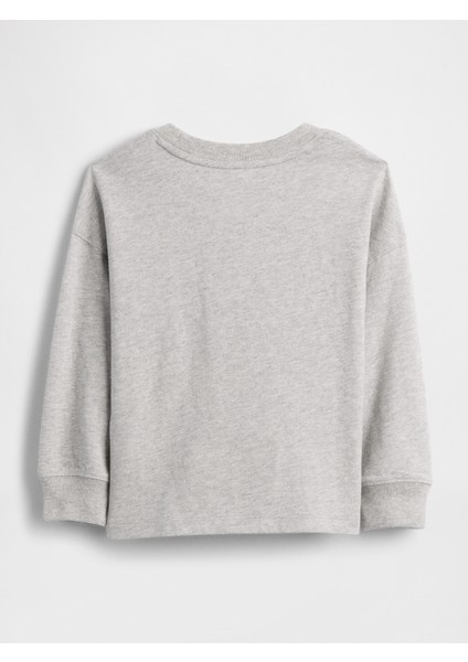 Erkek Bebek Gri Sesame Street Grafik Logo T-Shirt fiyatları