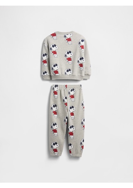 Erkek Bebek Gri Vintagesoft Snoopy Outfit Set fiyatları