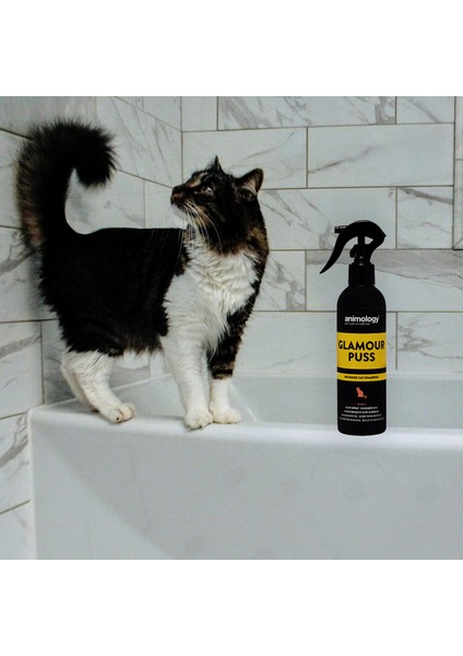 Animology Glamour Puss Durulanmayan Kedi Şampuanı 250ml