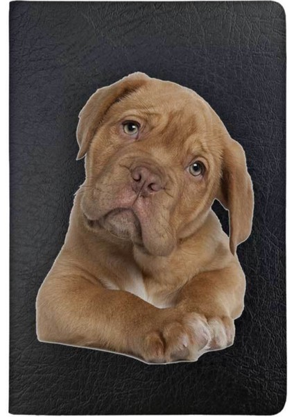 Yavru Retriever Desenli Deri Baskılı Evcil Hayvan Pet Kedi Köpek Pasaport Kılıfı Karnesi