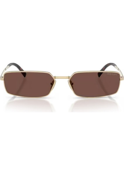 Pr A60S ZVN80T 59 Prada Güneş Gözlüğü fiyatları