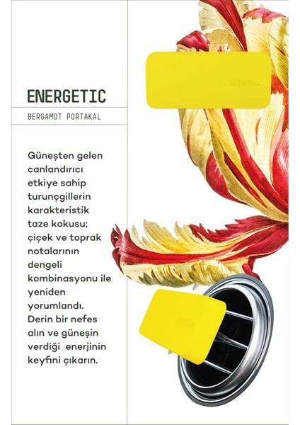 Araba Klima Kokusu, Flat Oto Kokusu, Bergamot Portakal Aromalı, 60 Gün Etkili Araç Kokusu - Energetic fiyatları
