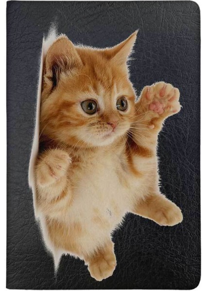 Tabby Yavru Kedi Vinleks Pet Evcil Hayvan Kedi Köpek Pasaport Sağlık Karnesi Kılıfı