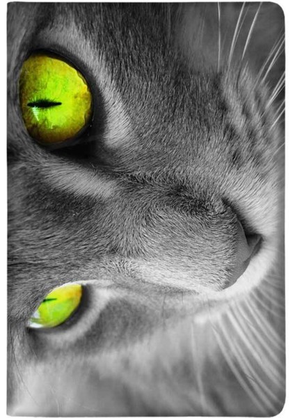 Sarı Göz Desenli Deri Pet Evcil Hayvan Kedi Köpek Pasaport Sağlık Karnesi Kabı Kılıfı