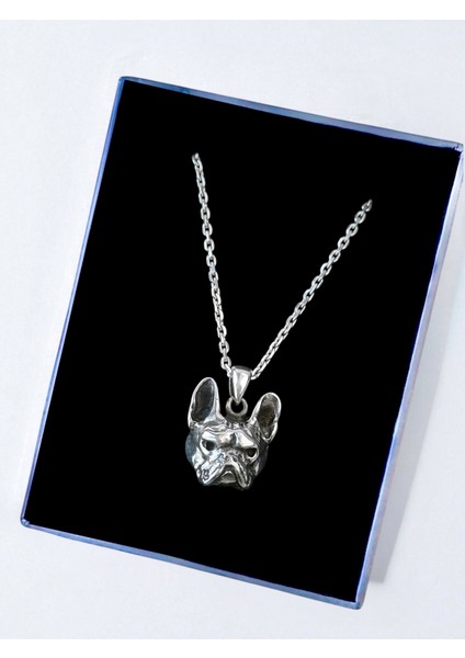 Fransız Bulldog Cinsi Köpek Unisex Tasarım Parlak Tasarım 925 Ayar Gümüş Kolye indirimleri