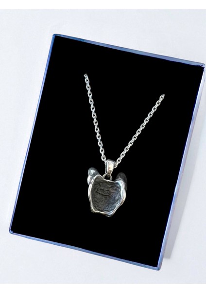 Fransız Bulldog Cinsi Köpek Unisex Tasarım Parlak Tasarım 925 Ayar Gümüş Kolye